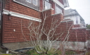 SouthWestLower1.jpg
